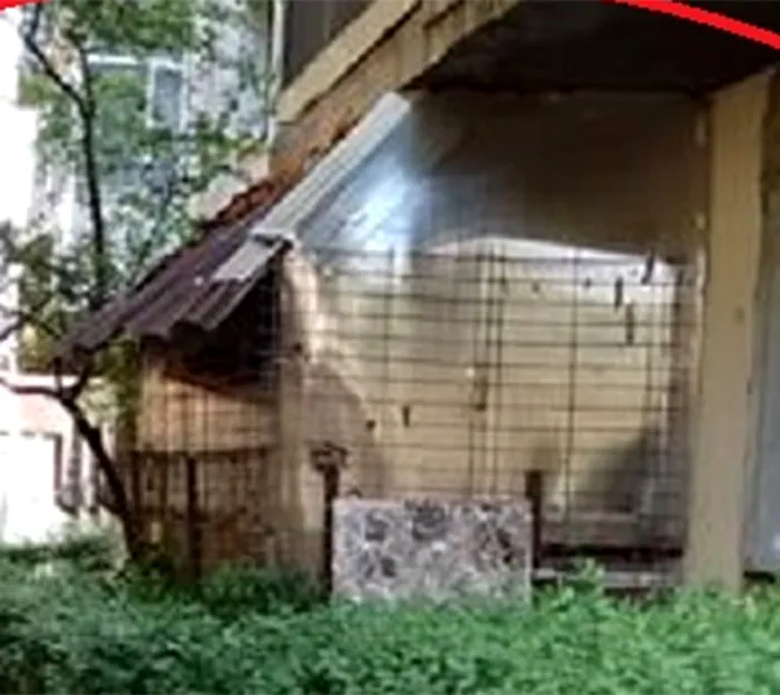Vecinii sunt scandalizați! Ce a putut să-și construiască un ploieștean, lângă apartamentul lui de la parter