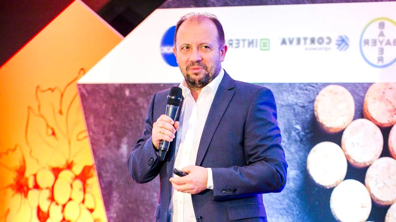 EXCLUSIV. Șef de companie agribusiness despre volatilitatea pieței cerealelor în 2020: „Dacă aș fi fermier, iar prețul ar satisface nevoile planului meu de afaceri, aș vinde acum”