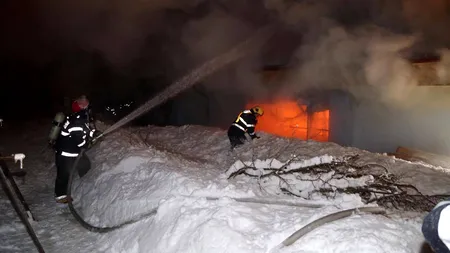 Incendiu la o clădire a Circului Globus: 11 animale moarte, printre care și doi tigri. Prima reacție a circului