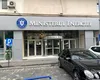 Secretar de stat în Ministerul ENERGIEI: Se poartă discuţii pentru un contract pe 10 ani privind furnizarea de uraniu