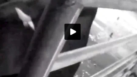 Ai mai mânca la FAST FOOD-UL ĂSTA după ce vezi imaginile ținute SECRET?