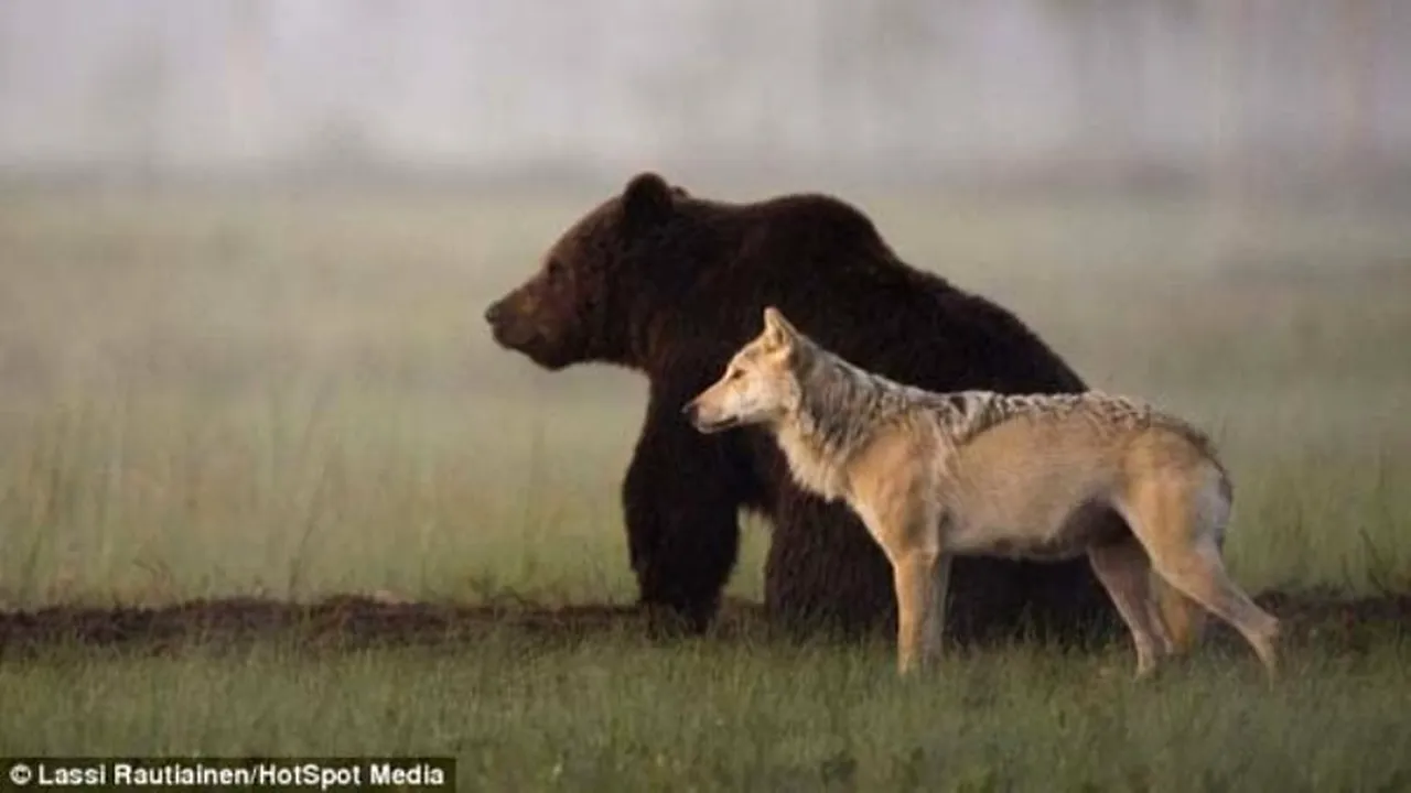 Ceea ce a surprins acest fotograf este extrem de rar. Nu veți mai vedea probabil niciodată așa ceva