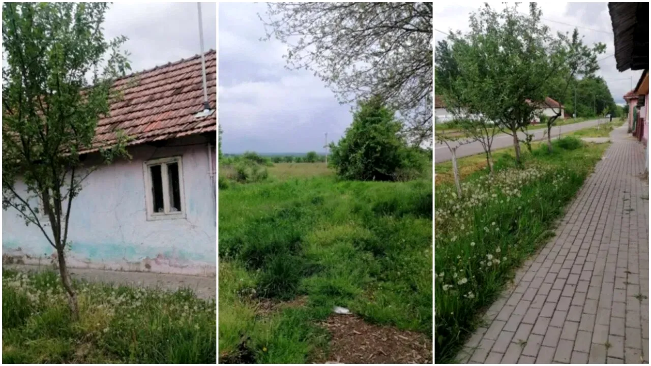 Casă + teren 1.300 mp, de vânzare cu DOAR 5.000 de euro. Localitatea din România în care o poți cumpăra