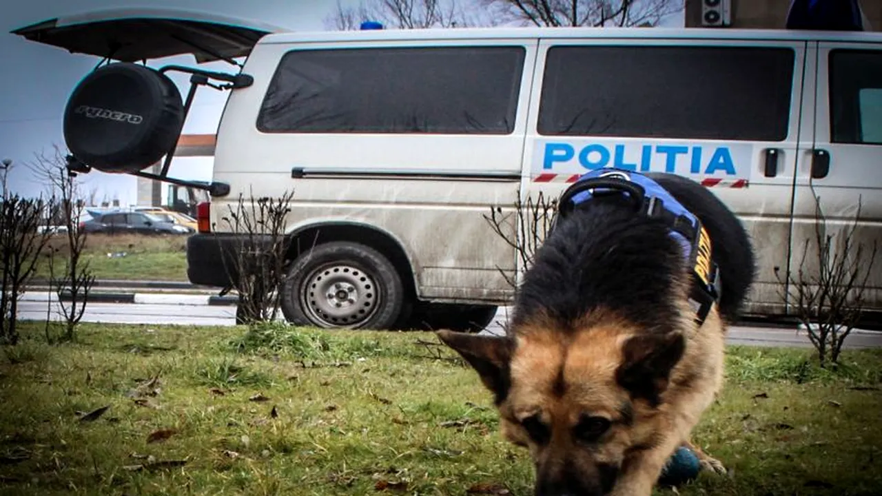 Un copil de doi ani care a dispărut în stațiunea Geoagiu Băi, găsit după o jumătate de zi de căutări