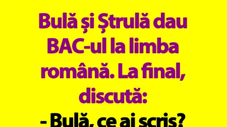 BANC | Bulă și Ștrulă dau BAC-ul la limba română