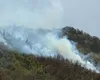 INCENDIU de vegetație într-o zonă greu accesibilă din Argeș. Intervenția în desfășurare / A fost solicitat sprijinul unui elicopter Black Hawk