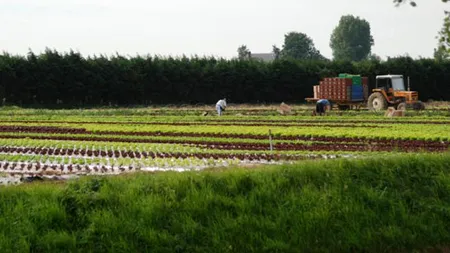 Un român care se declară victima abuzurilor angajatorului a intrat în GREVA FOAMEI