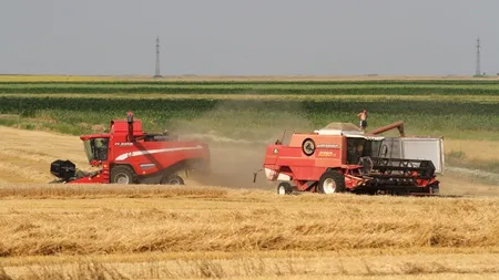 România rămâne cu cele mai multe exploatații agricole din UE, dar cu suprafață utilizată în scădere