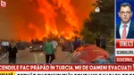 Incendiile de vegetație fac prăpăd în Turcia. Mii de oameni au fost evacuați