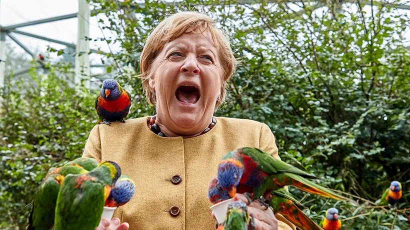 Angela Merkel a fost „mușcată” de papagali, în timpul unei vizite la parcul de păsări din Marlow. Fotografia a devenit virală