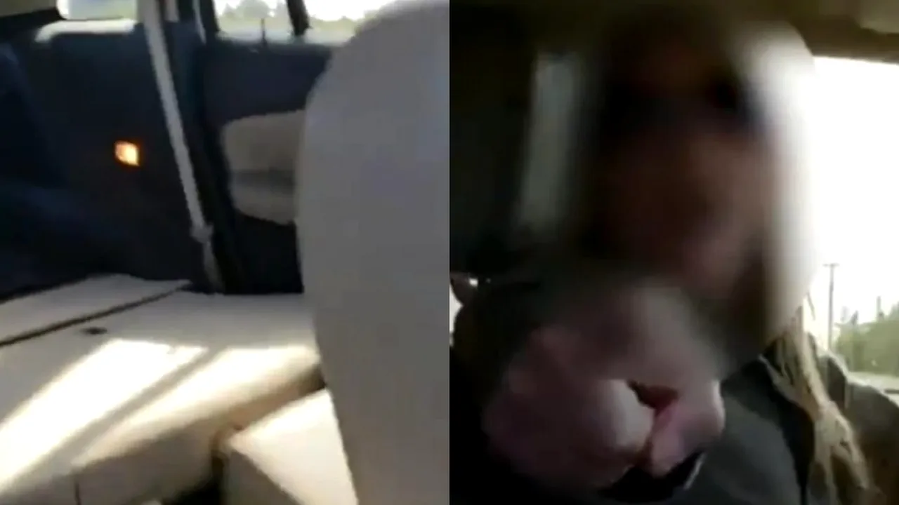 Scandal în plină stradă, după ce un bărbat și-a prins soția în timp ce îl înșela pe bancheta din spate a mașinii: „Îi voi arăta filmarea mamei tale