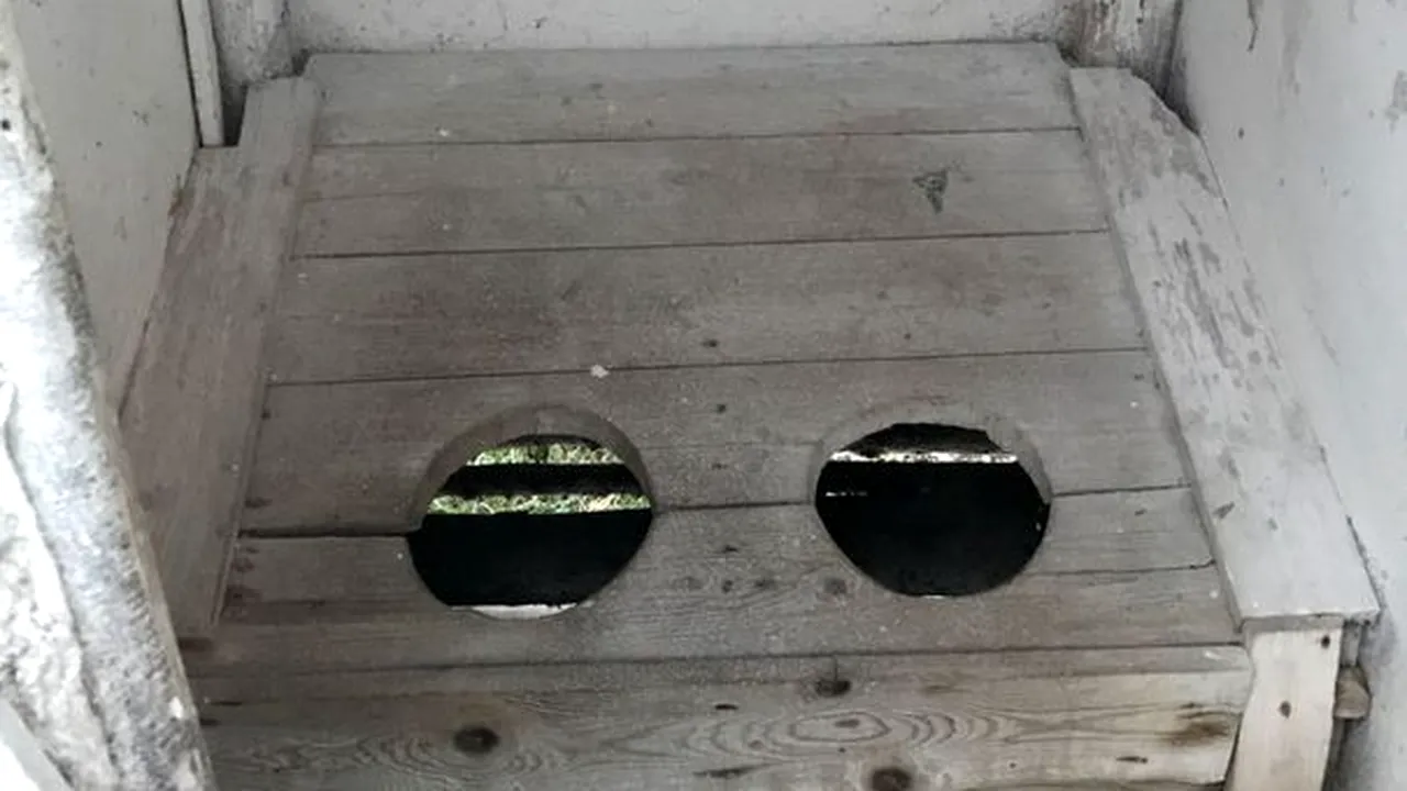 Coaliția pentru educație cere școli și grădinițe fără wc-uri în curte și dă termen limită guvernului