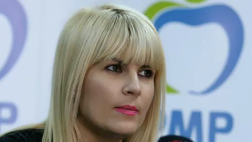 Avocatul Elenei Udrea, excepții de neconstituționalitate la apelul privind anularea condamnării în „Gala Bute