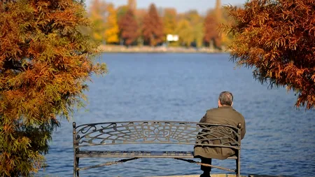 Bănci, garduri și jardiniere în valoare de 23 de milioane de euro.
O Companie Municipală din București lansează licitația de achiziționare a mobilierului stradal 