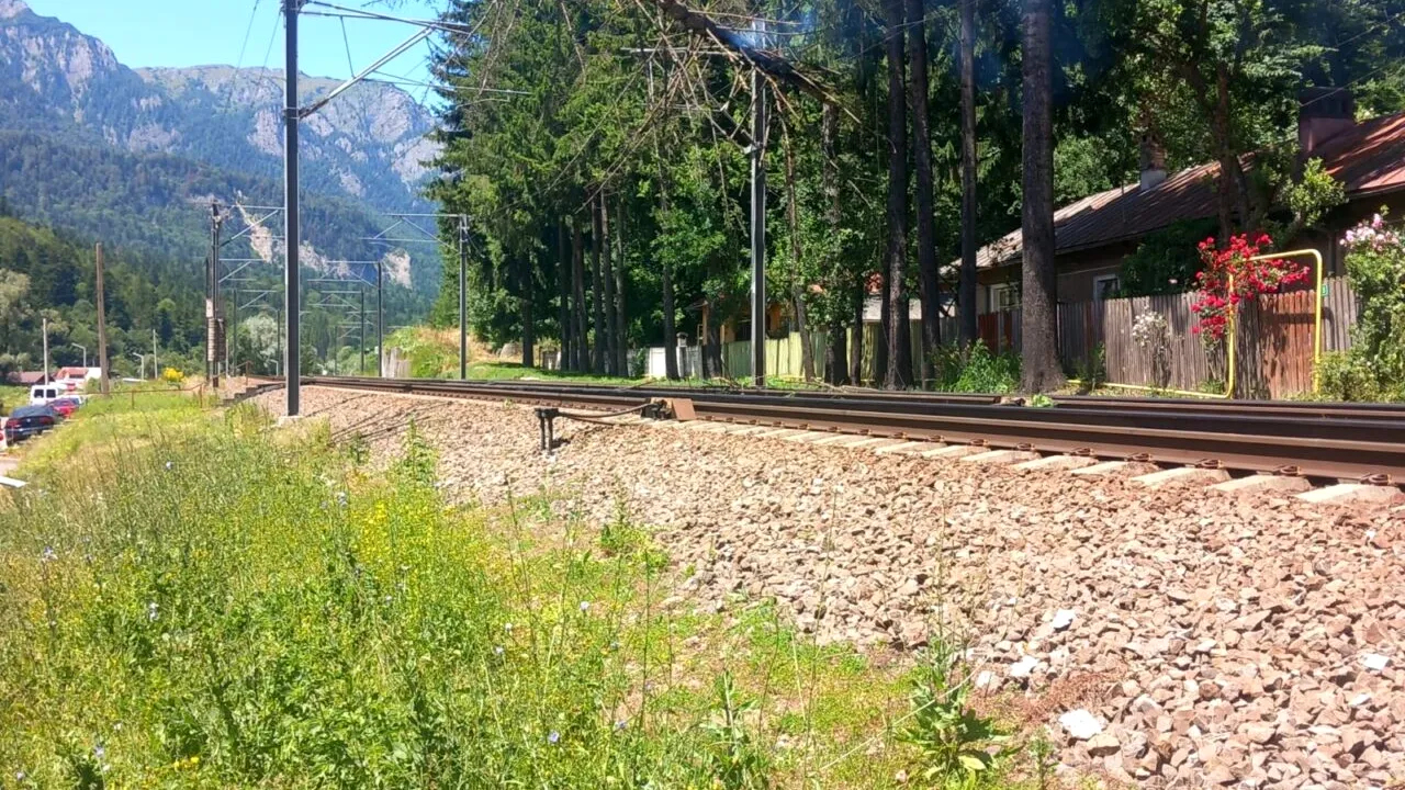 AVARIE pe calea ferată între stațiile Sinaia și Bușteni. Un copac a căzut pe infrastructura feroviară / Circulația întreruptă
