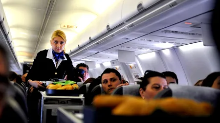 Cele mai bizare lucruri întâlnite de stewardese: un vultur uitat pe scaun, supă la plic cu apă din toaleta avionului și altele