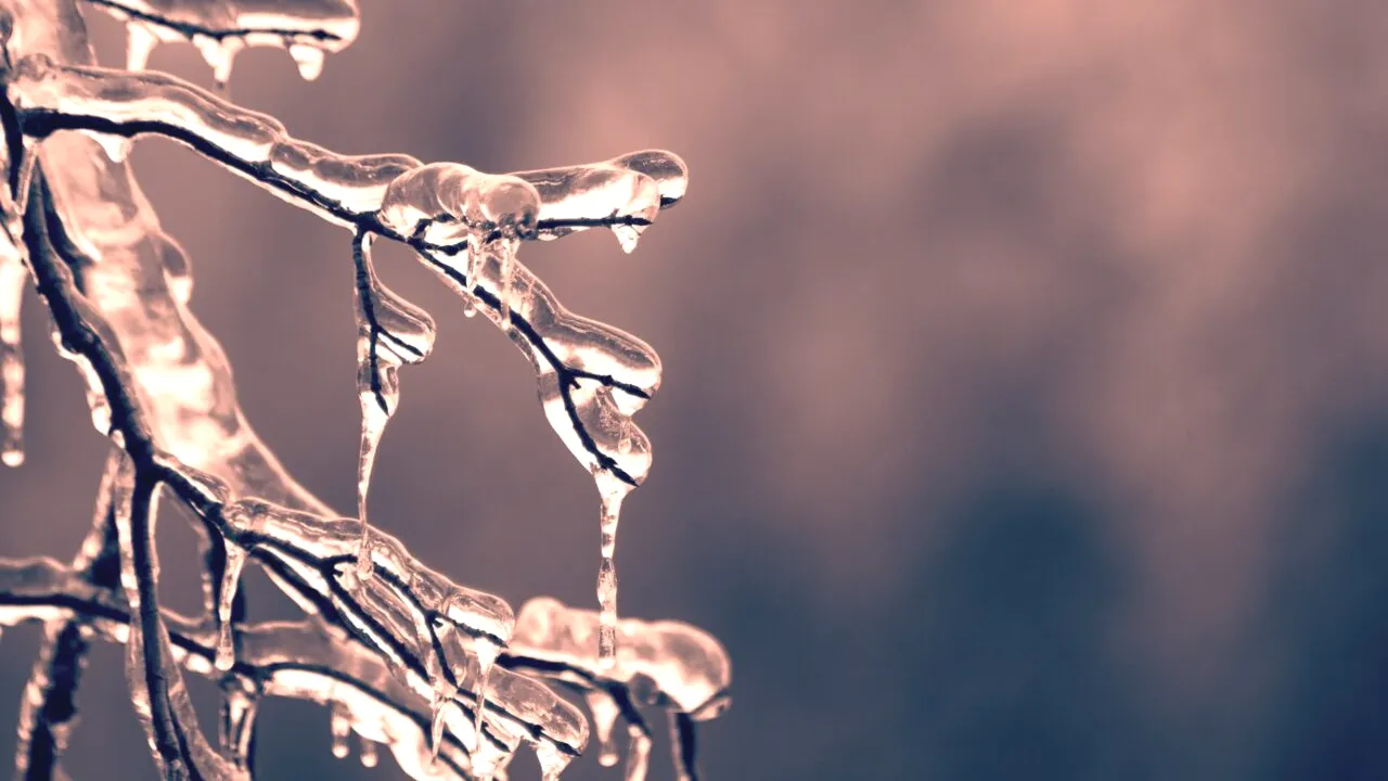 Vremea extremelor! Diferență de 60 de grade Celsius între Europa și Rusia