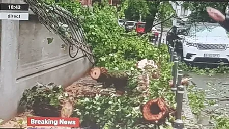 Un pom a căzut peste gardul sediului PNL din București, după furtuna care a devastat Capitala