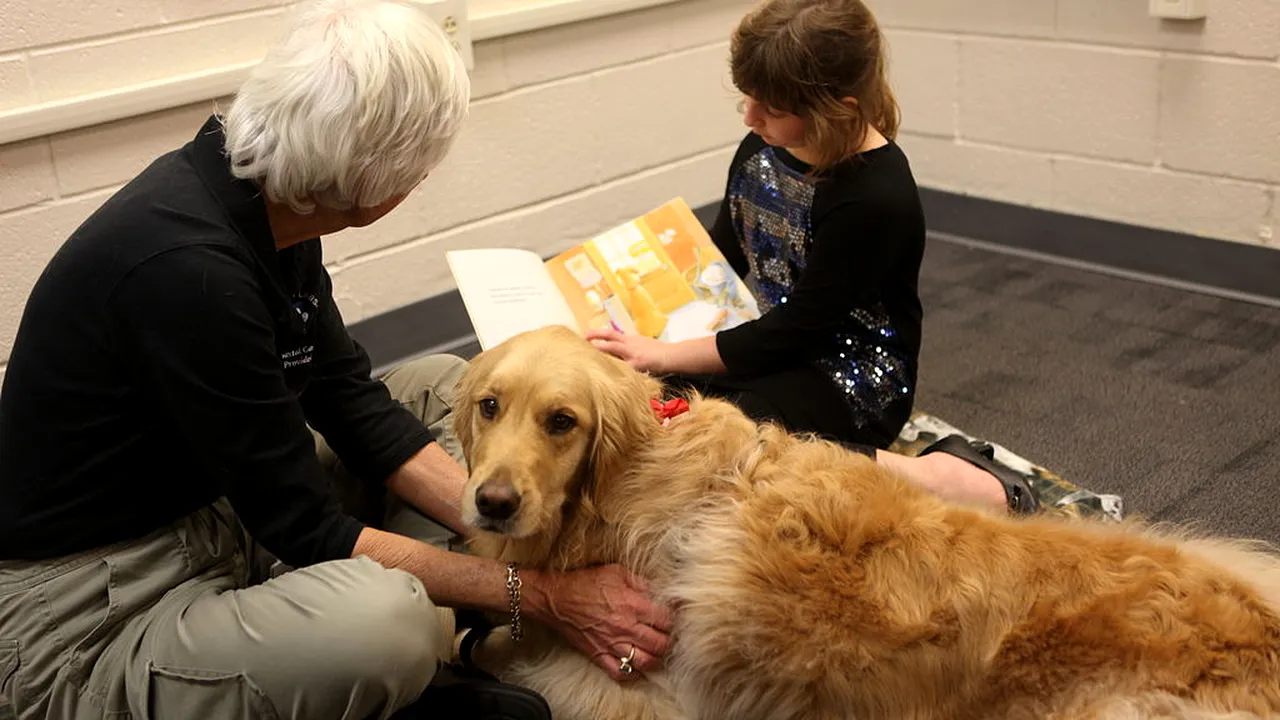 Cum îi pot ajuta câinii pe copii să devină cititori mai buni