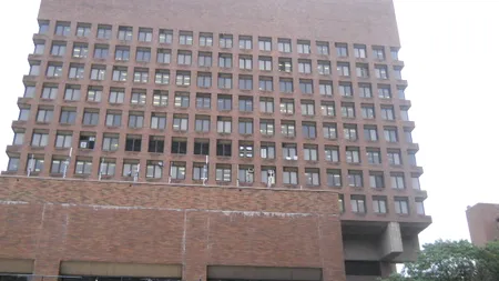 Angajați ai Poliției din New York au modificat pe Wikipedia informații despre violențele unor colegi. Reacția șefilor Poliției 