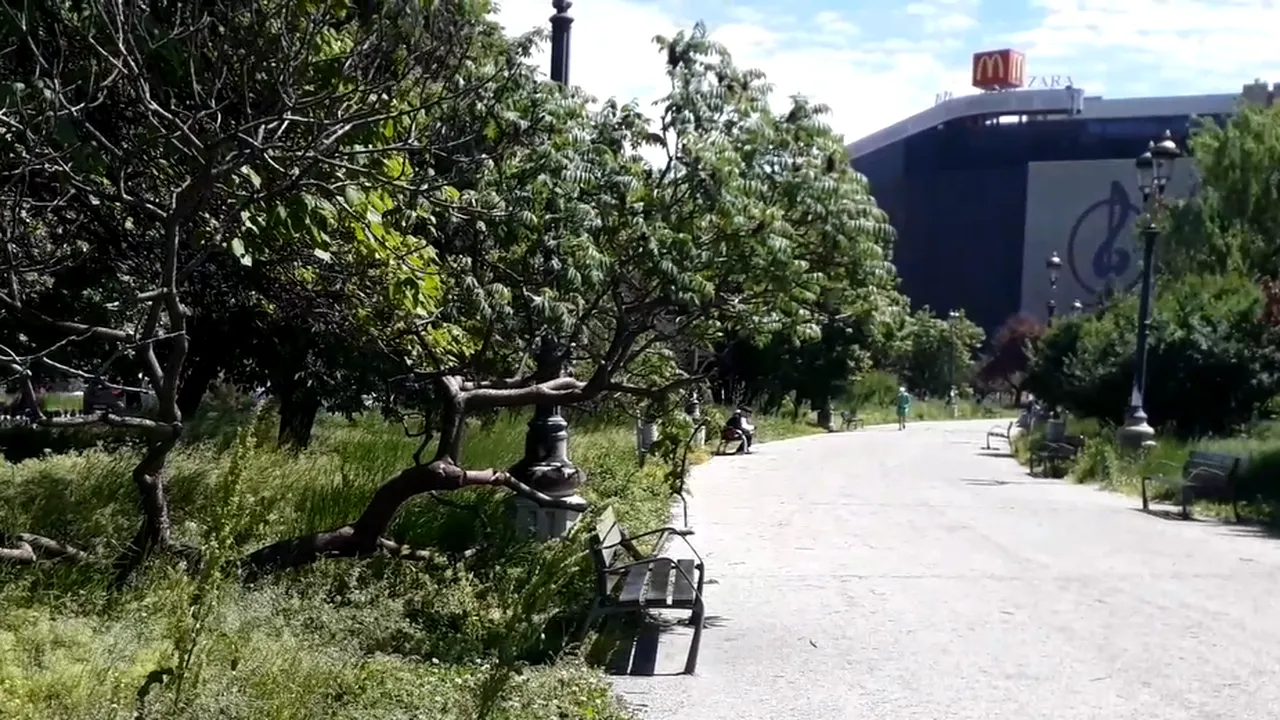 Nicușor Dan: „Costă 400 de lei să demontezi și să montezi o șipcă ruptă dintr-o bancă”. Prețurile practicate de Compania Parcuri și Grădini