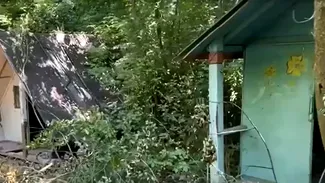 Peisaj dezolant în tabăra pentru școlari de la Ciric. Superba zonă care găzduia mii de elevi, lăsată în paragină