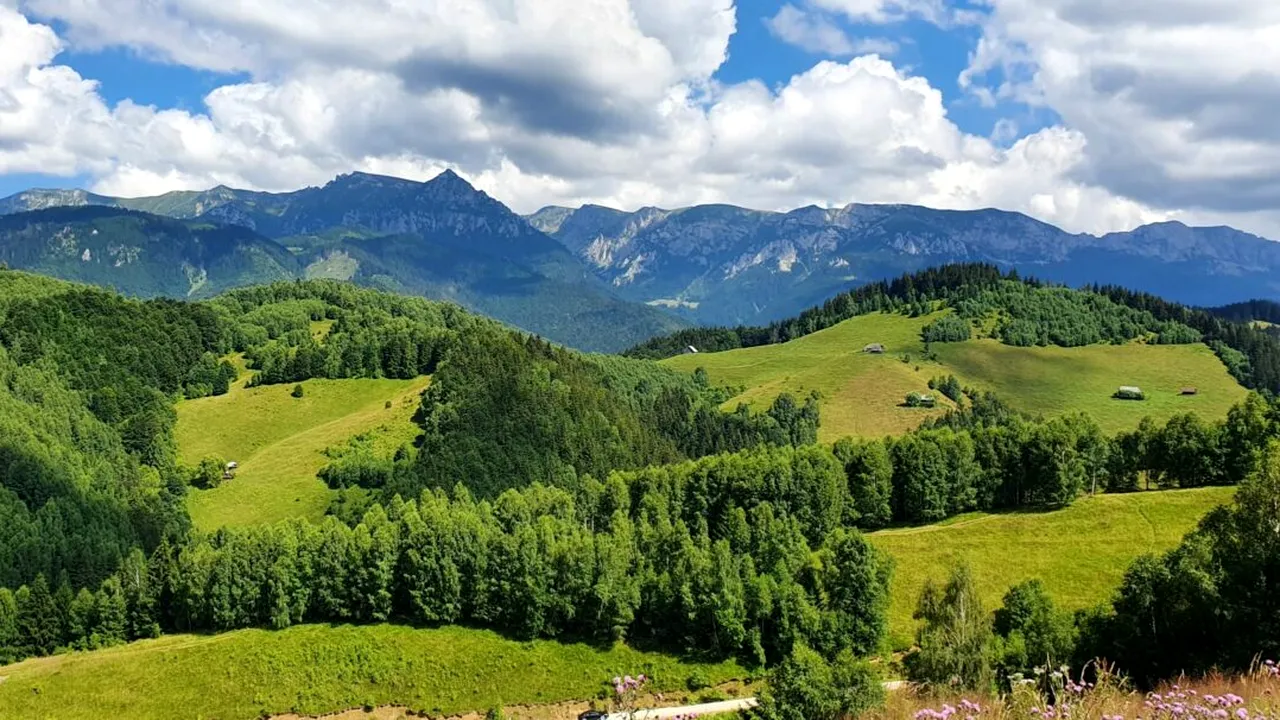 Locul unde găsești centrul României! A fost mutat cu 30 km de câțiva ani. Ai știut unde este?