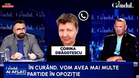 Corina Drăgotescu trage un semnal de alarmă: Guvernul Niculescu e cu termen de garanție/Cine răspunde dacă în 6 luni se întâmplă ceva dramatic?