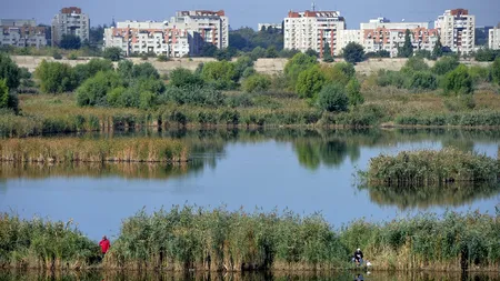 Fonduri PNRR pentru împădurirea orașelor. Ministrul Fechet cere proiecte pentru crânguri între blocuri. Care sunt condițiile de eligibilitate