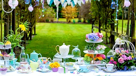 A dat o petrecere de adio înainte de a-și pune capăt zilelor. Ce le-a cerut prietenilor 