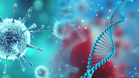 Un supercomputer a analizat noul coronavirus și a descoperit o teorie șocantă: „COVID-19 e ca un hoț care îți jefuiește casa, iar la plecare lasă toate ferestrele deschise, să fure și alții ce a mai rămas”