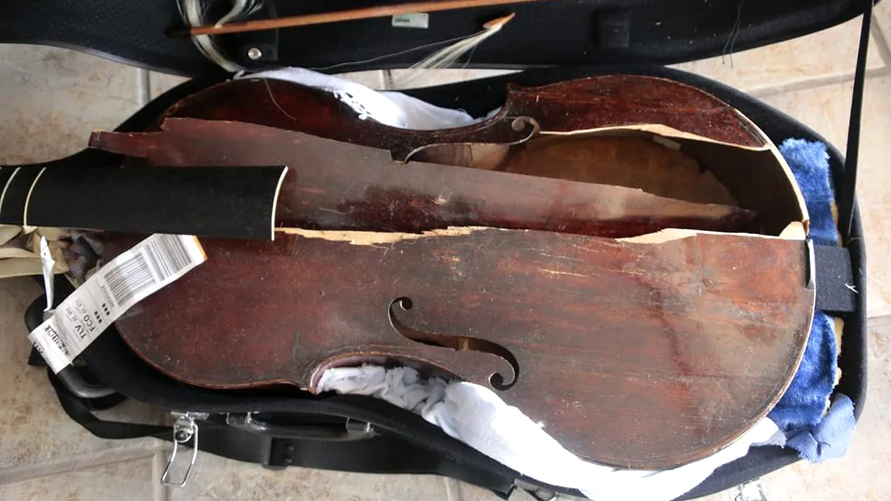 Greșeala de 200.000 de dolari a unei companii aeriene. Comoara distrusă de angajații Alitalia