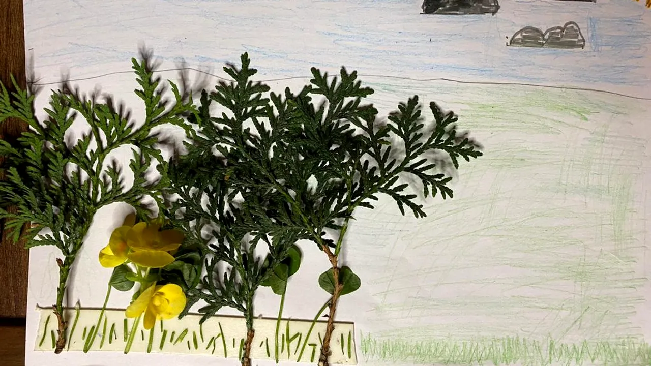 Încurajează creativitatea micuţilor tăi, câştigă premii de 1 iunie, oferite de de elefant.ro!