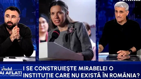Turcescu: ”Dacă ne trezim că Mirabela Grădinaru e milionară în euro?/Ce a zis la Renault că nu e la muncă?”