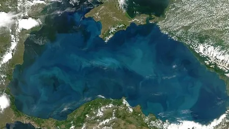 OMV a alocat 55 milioane euro pentru acoperirea pierderilor legate de Nabucco Vest