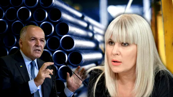Elena Udrea se dezlănțuie, după ce a aflat că un oligarh din Ucraina a cumpărat fabrica de la Roman: „Se repetă prostia, lașitatea și slugărnicia”