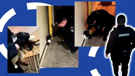 Intervenție mai puțin obișnuită a jandarmilor la Constanța. O pisică agresivă a fost imobilizată. Ordinea pe scara blocului a fost restabilită