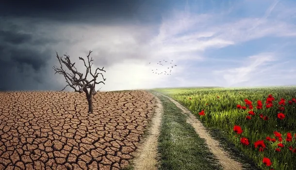 <span style='background-color: #456600; color: #fff; ' class='highlight text-uppercase'>AGRICULTURĂ</span> ANUNȚ crucial pentru fermieri! Data până la care se prelungește termenul de depunere a cererilor pentru despăgubirile de secetă