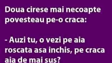 BANCUL ZILEI | Două cireșe mai necoapte povesteau pe-o cracă