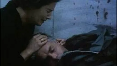 Damiano Damiani, regizorul serialului 