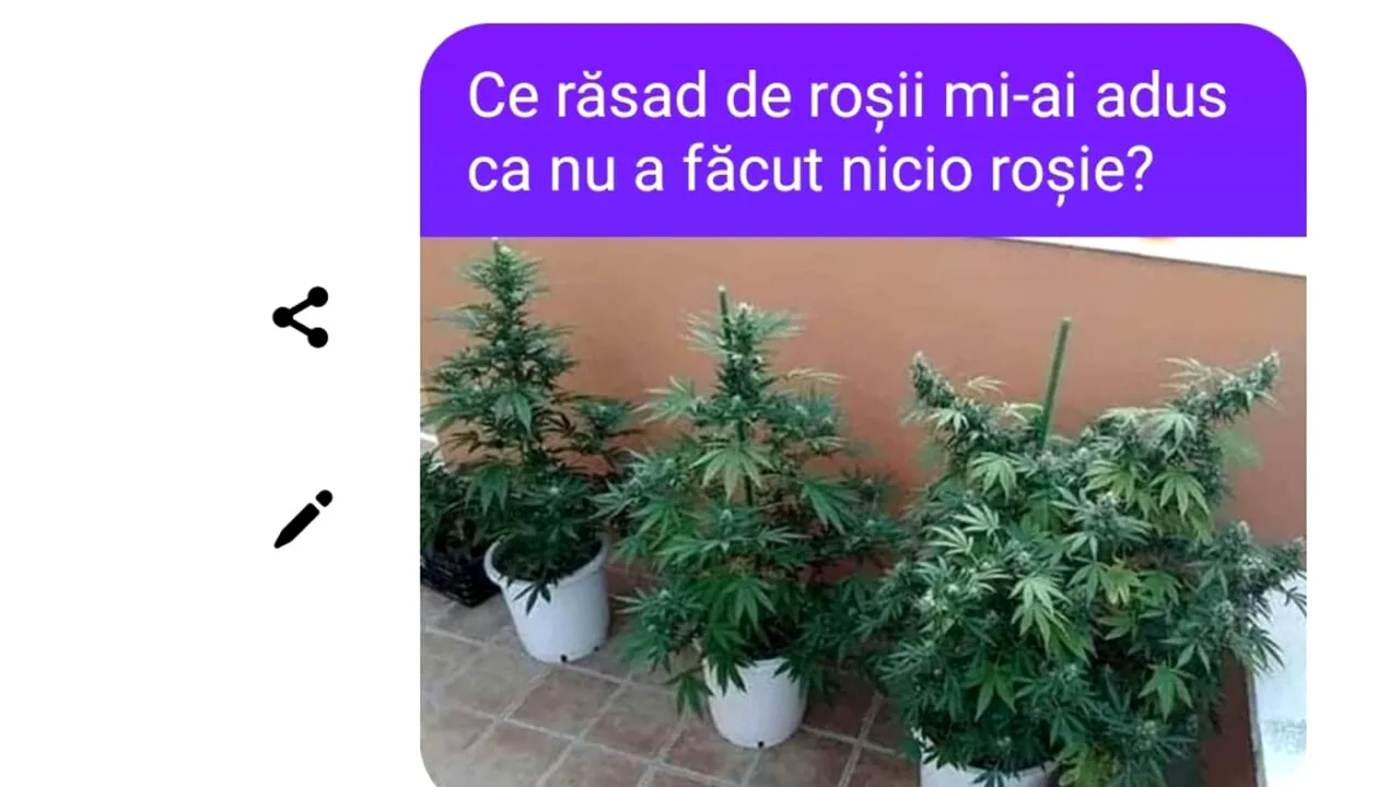 Bancul de vineri | 