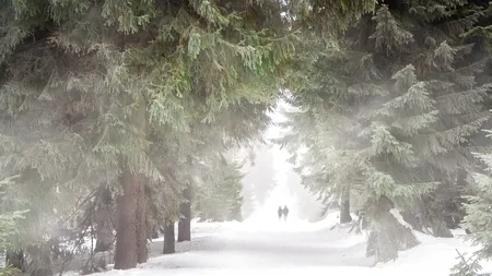 Ger crunt în România! Temperaturile sunt în scădere. Unde va fi cel mai frig