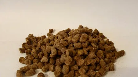 Antreprenorii care au transformat lâna de oaie în îngrășământ 100% organic