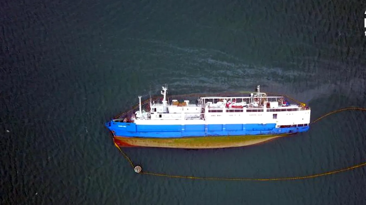 PLÂNGERE la DNA! Animals International afirmă că nava Queen Hind avea punți neincluse în cargoplan. „Cerem Comisiei Europene să suspende activitatea de export cu animale vii în portul Midia