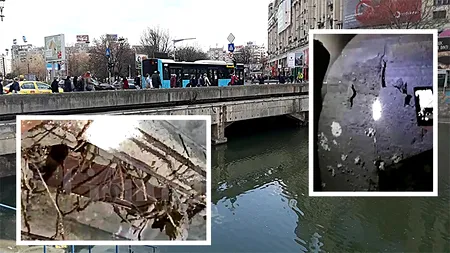 Pericol imens: Planșeul de beton din Piața Unirii se poate prăbuși, fiind într-o stare avansată de degradare, cu risc seismic MAJOR! GÂNDUL.RO prezintă în premieră imagini de „sub” Dâmbovița, unde apa și timpul au făcut ravagii! EXCLUSIVITATE