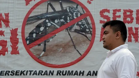 A fost descoperită o nouă categorie de anticorpi naturali care ar putea neutraliza toate formele virusului 