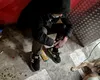 Povestea înduioșătoare a acestui cerșetor din Cluj. Ce era înainte să ajungă în această situație și de ce nu se poate despărți de cățelul lui
