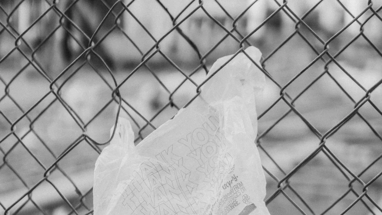 INSPIRAȚIONAL. Orașul care a renunțat la plastic. Cum a reușit în mai puțin de un an