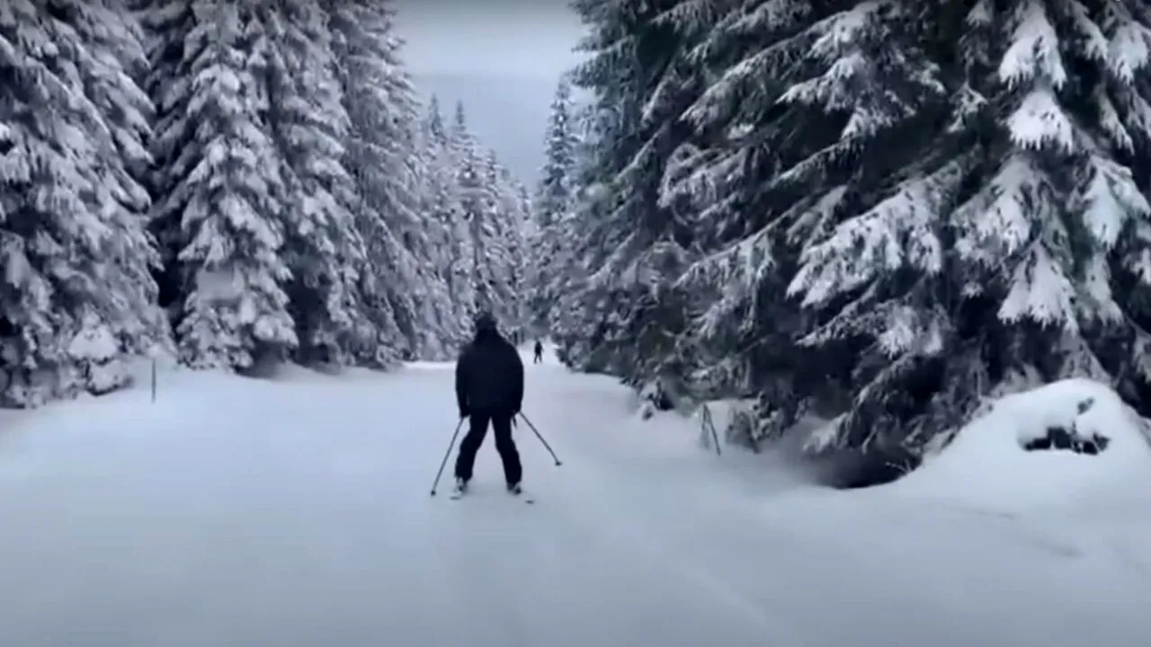 Stațiunea din România în care turiștii au parte de experiențe ca în Alaska. Cât costă un traseu de o zi cu atelaje trase de câini Husky