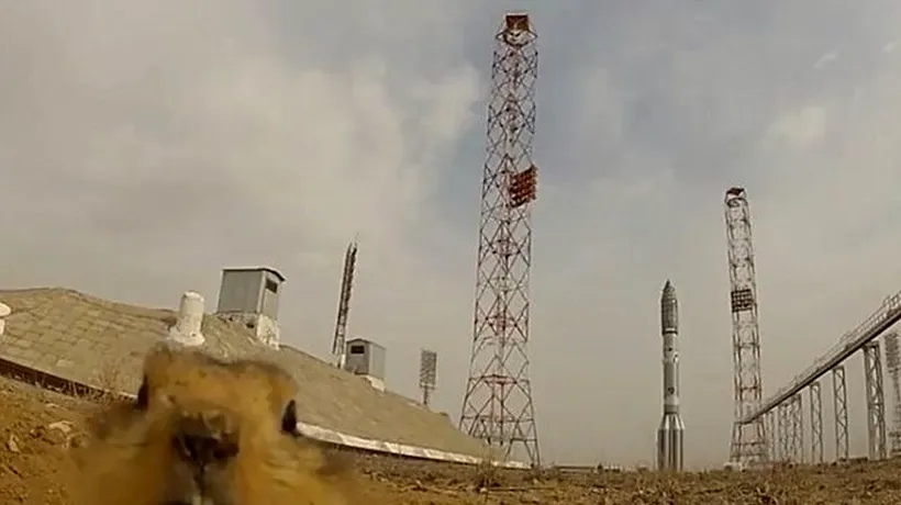 VIDEO: Popândăul care a sabotat lansarea unei rachete